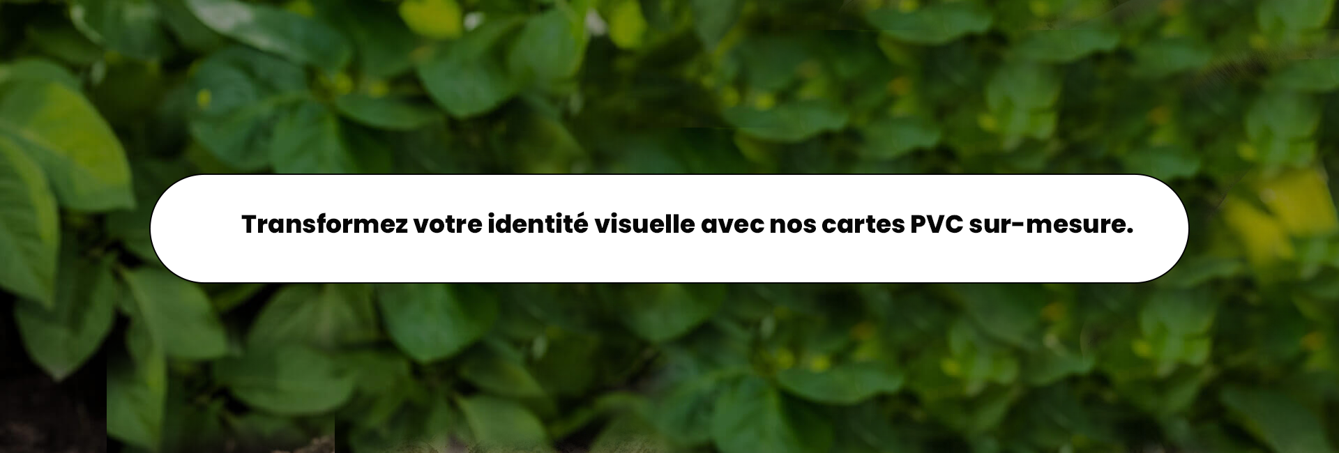 Carte PVC Professionnelles